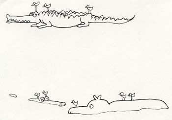 john Seneres drawing of crocodile